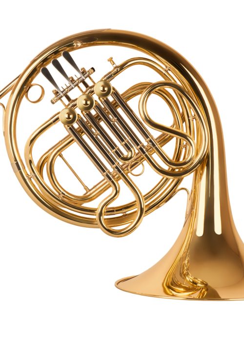 Golden,French,Horn,In,Hard,Light,Isolated,On,White,Background